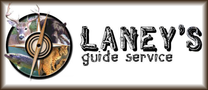 Laney's Guide Service