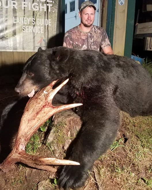 Bear Bait Hunts in Maine  Guided Bait Hunts for Black Bear