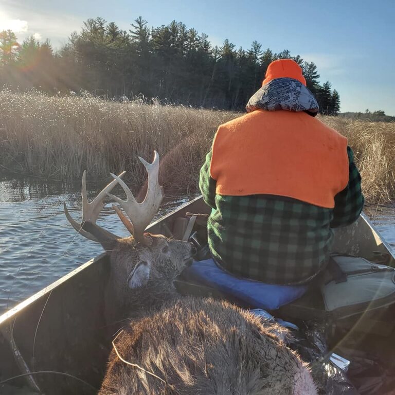 Guided Deer Hunts Maine Whitetail Hunting Maine