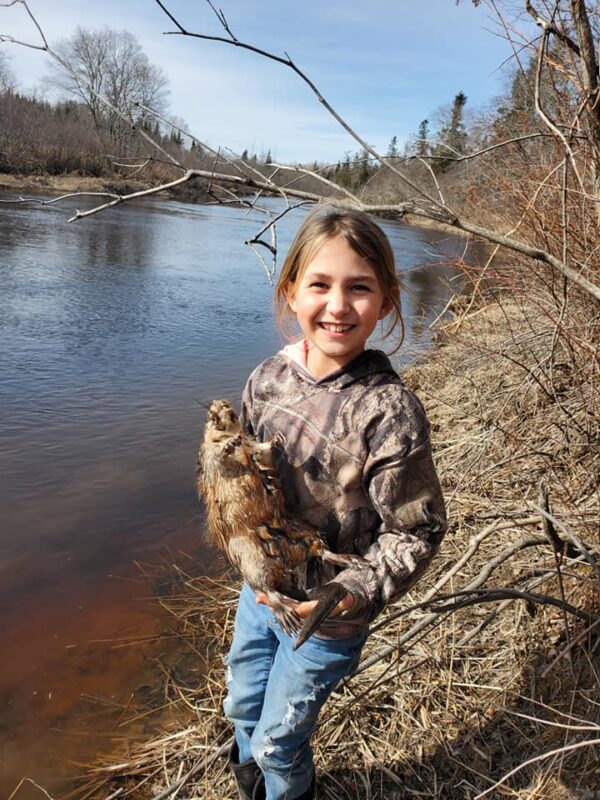 Trapping Trapping Maine Guided Trapping Maine