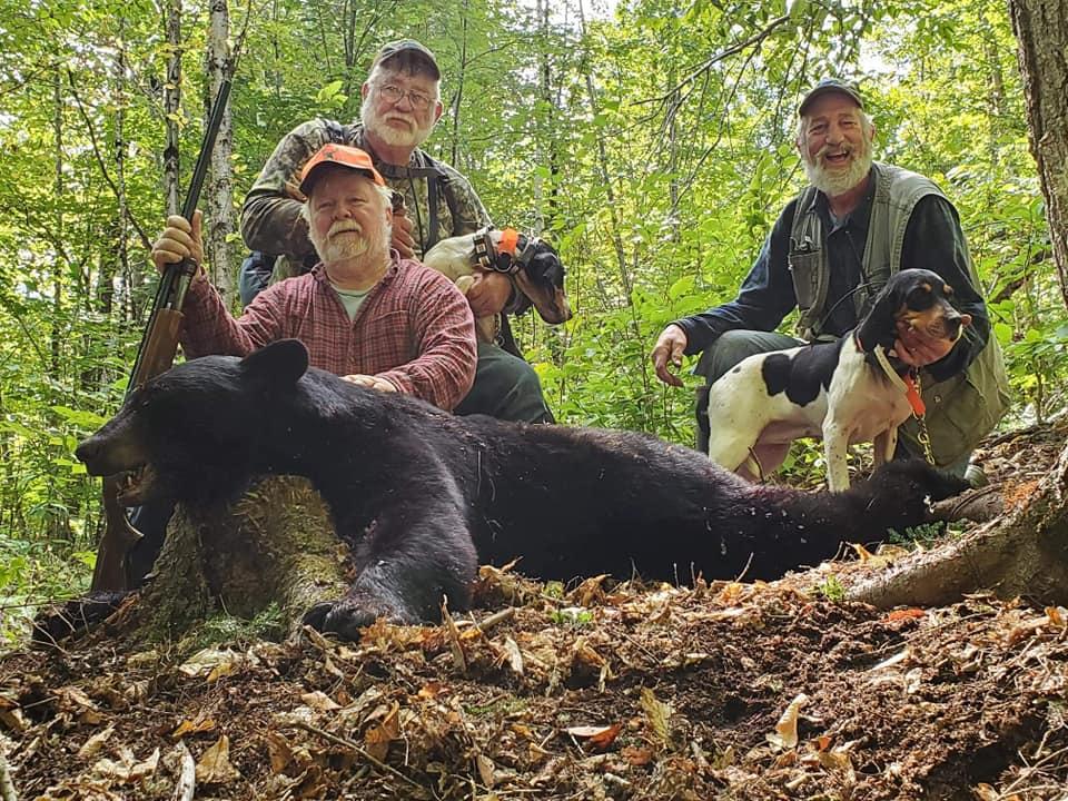 Guided Bear Hunts Maine | Guided Bear Hound Hunts Maine