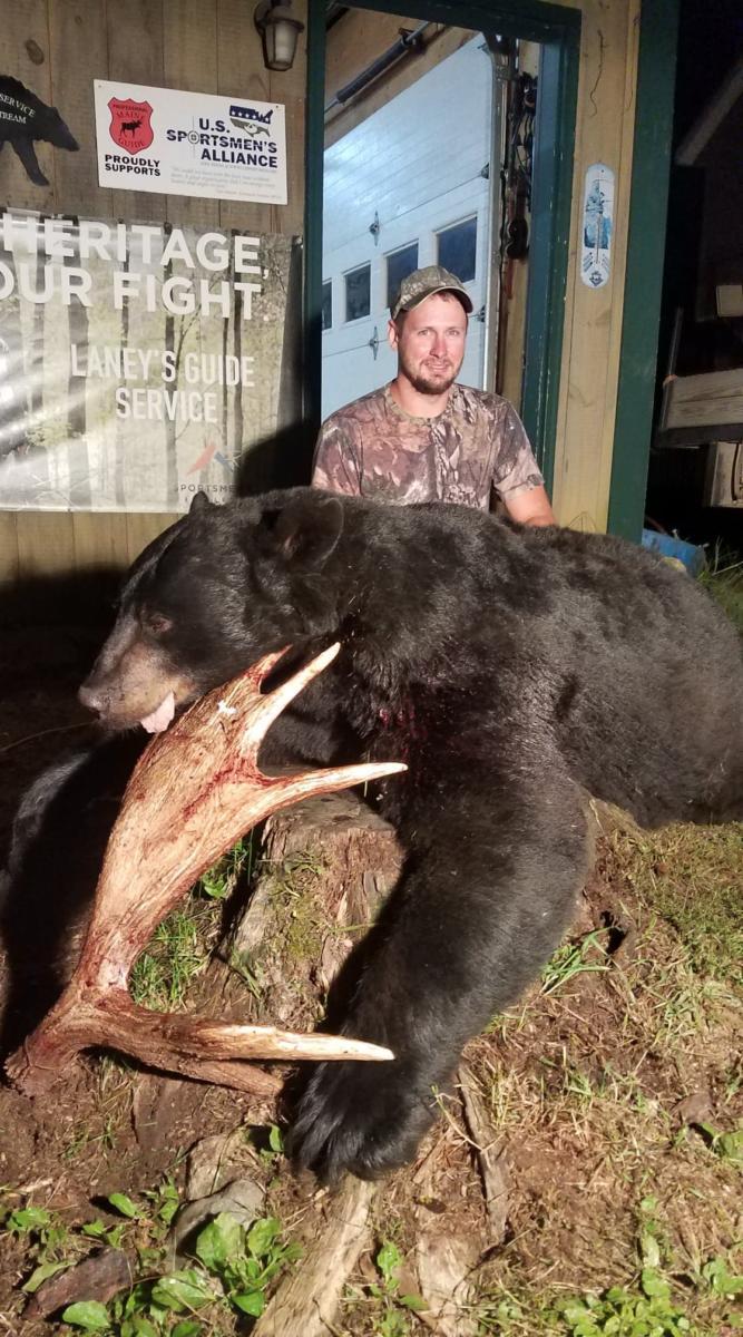 maine bear hunting with bow