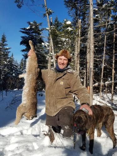 Guided bobcat hunt Maine
