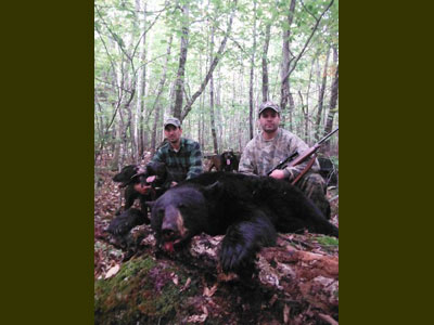 Hound black bear hunt