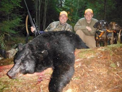 Black bear hunt in Maine