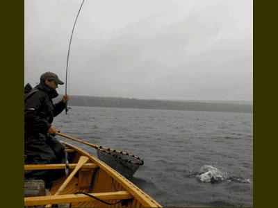 Chartered fishing in Grand Lake Stream Maine