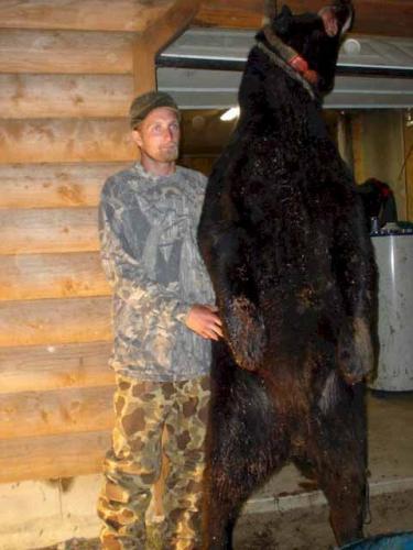 Maine black bear hunting