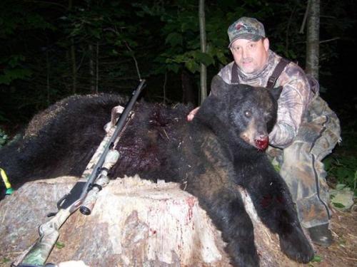 Bear hunting guide services in Maine