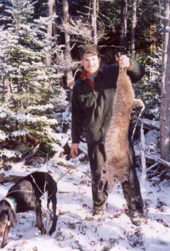 Bobcat hunting in Maine