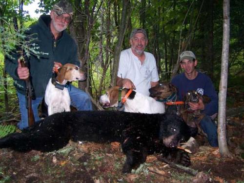 Blackbear hunting Maine