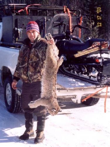 Maine guided bobcat hunting with hounds