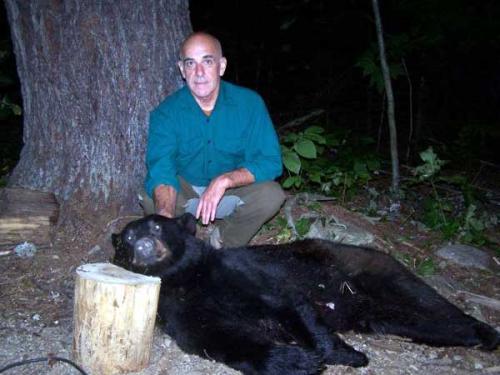 Hound blackbear hunting in Maine