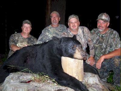 Trophy black bear guide hunt in Maine