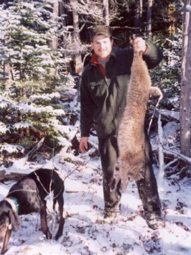 Washington County Maine bobcat hunt