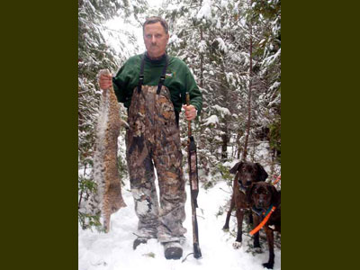 Bobcat hunt with hounds Down East Maine