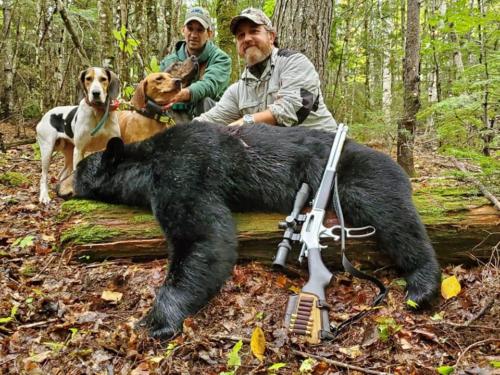 Guided Bear Hunts Maine | Guided Bear Hound Hunts Maine