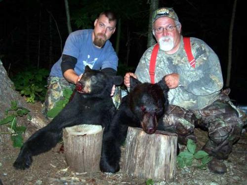 Guided blackbear hunts in Maine