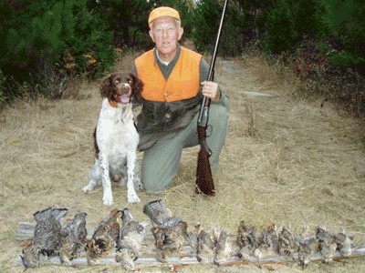 Maine guided upland bird hunting with hounds