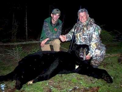 Guided bear hunts in Maine