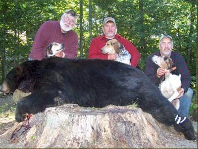 Maine black bear hunt